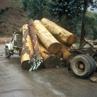 Truck_LogSpill Truck_LogSpill