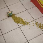 SlipFall_Peas