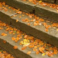 LeavesOnSteps